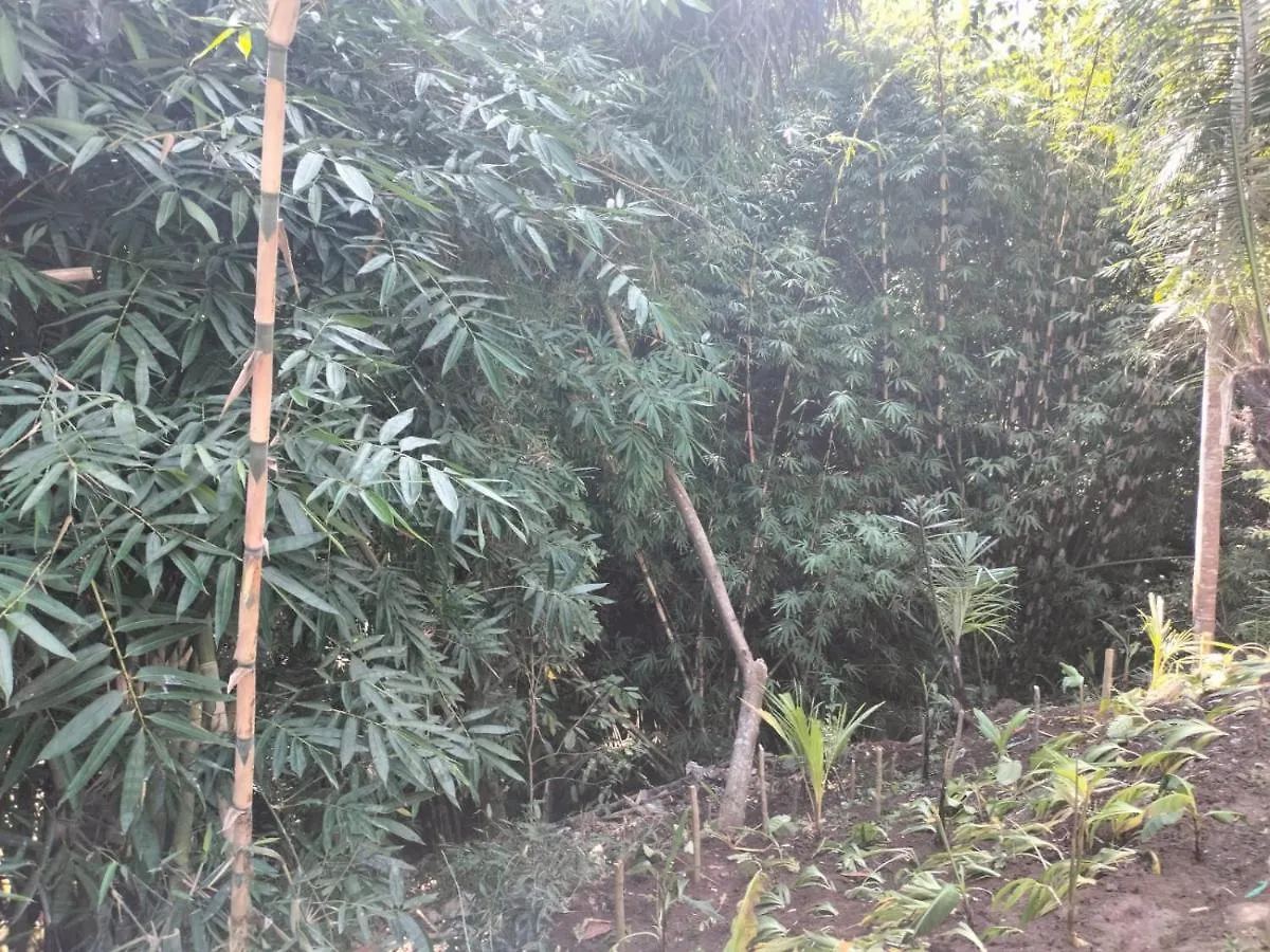 Baruna Sari Villa View Jungle Ubud Indonesië